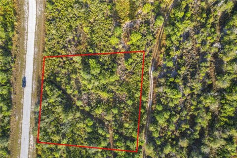 Land in Lake Wales, Florida № 2160227 - photo 19