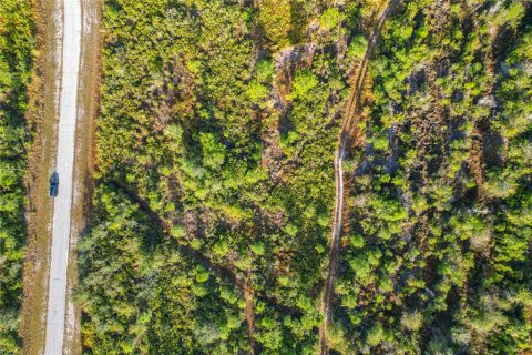Land in Lake Wales, Florida № 2160227 - photo 15