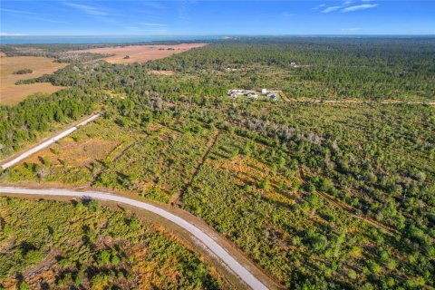 Land in Lake Wales, Florida № 2160227 - photo 8