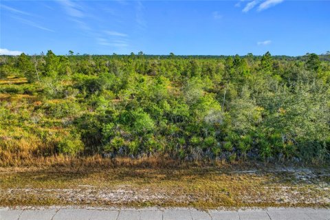 Land in Lake Wales, Florida № 2160227 - photo 3