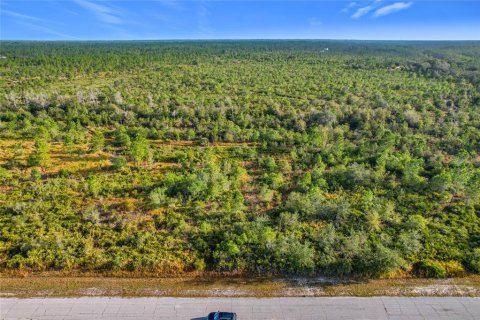 Land in Lake Wales, Florida № 2160227 - photo 4