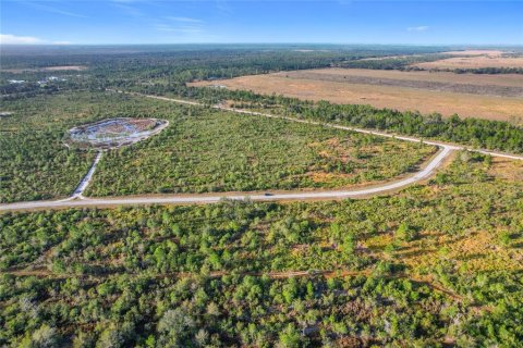 Land in Lake Wales, Florida № 2160227 - photo 18