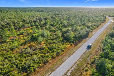 Land in Lake Wales, Florida № 2160227 - photo 11