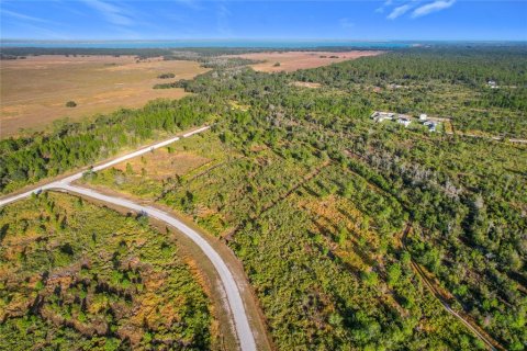Land in Lake Wales, Florida № 2160227 - photo 9