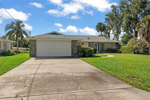 Villa ou maison à Inverness, Floride 2 chambres, 140.28 m2 № 2430969