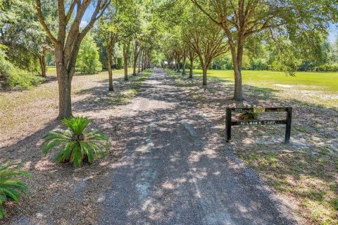 Casa en venta en Ocklawaha, Florida, 3 dormitorios, 179.77 m2 № 2110186 - foto 10