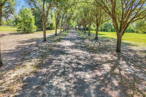 Casa en venta en Ocklawaha, Florida, 3 dormitorios, 179.77 m2 № 2110186 - foto 11