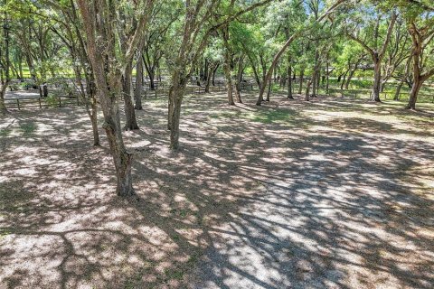 Casa en venta en Ocklawaha, Florida, 3 dormitorios, 179.77 m2 № 2110186 - foto 16