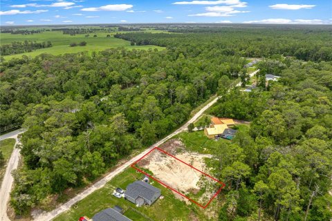 Land in Ocala, Florida № 2199189