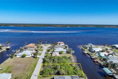 Land in Port Charlotte, Florida № 1546604 - photo 1