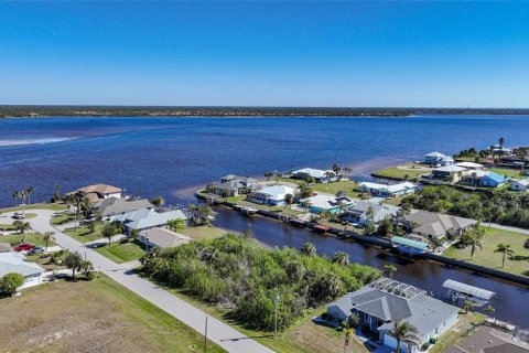 Land in Port Charlotte, Florida № 1546604 - photo 3