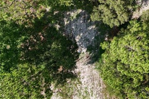 Купить земельный участок в Юстис, Флорида № 1554105 - фото 12