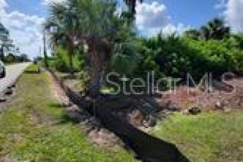 Land in Port Charlotte, Florida № 1534957 - photo 5