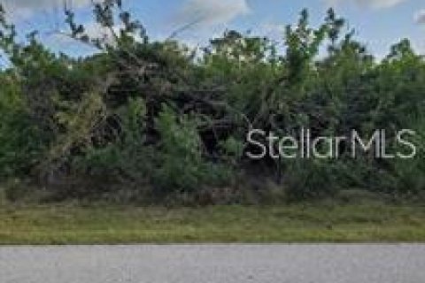 Land in Port Charlotte, Florida № 1534957 - photo 4