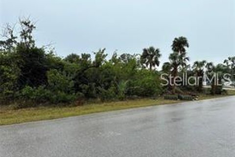 Land in Port Charlotte, Florida № 1534957 - photo 2