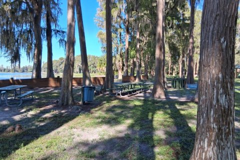 Villa ou maison à louer à New Port Richey, Floride: 2 chambres, 55.74 m2 № 2413913 - photo 28