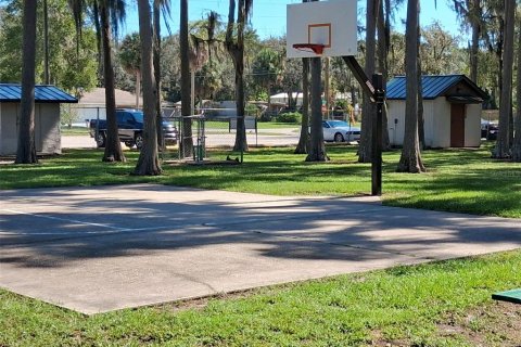 Villa ou maison à louer à New Port Richey, Floride: 2 chambres, 55.74 m2 № 2413913 - photo 27