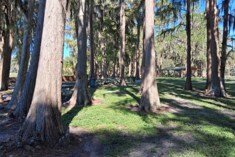 Villa ou maison à louer à New Port Richey, Floride: 2 chambres, 55.74 m2 № 2413913 - photo 29