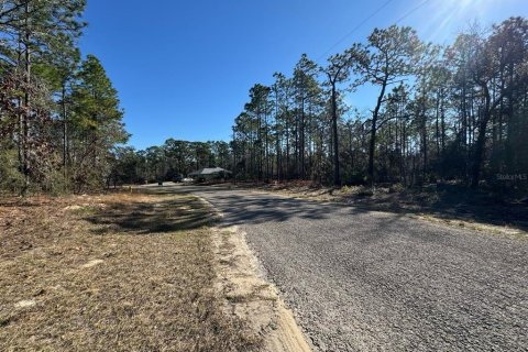 Land in Citrus Springs, Florida № 2160829 - photo 4