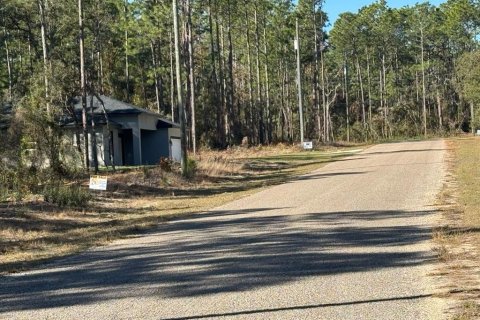 Land in Citrus Springs, Florida № 2160829