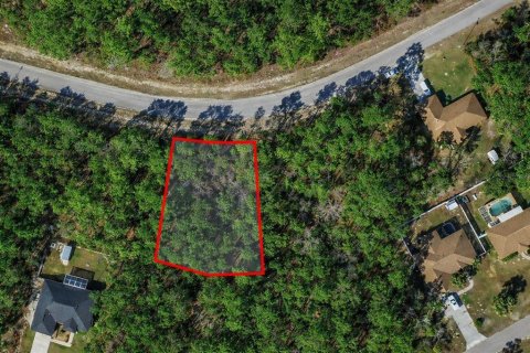 Land in Citrus Springs, Florida № 2160829 - photo 2
