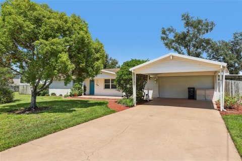 Villa ou maison à vendre à Riverview, Floride: 3 chambres, 204.48 m2 № 2299320 - photo 3