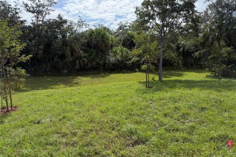Villa ou maison à vendre à Punta Gorda, Floride: 3 chambres, 186.73 m2 № 2098411 - photo 3