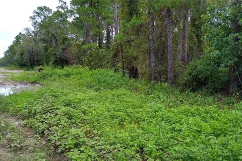 Terreno en venta en DeLand, Florida № 2162200 - foto 3