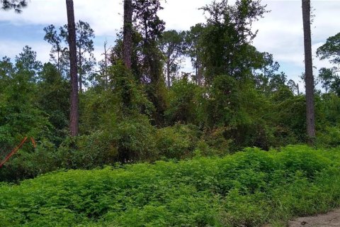 Terreno en DeLand, Florida № 2162200