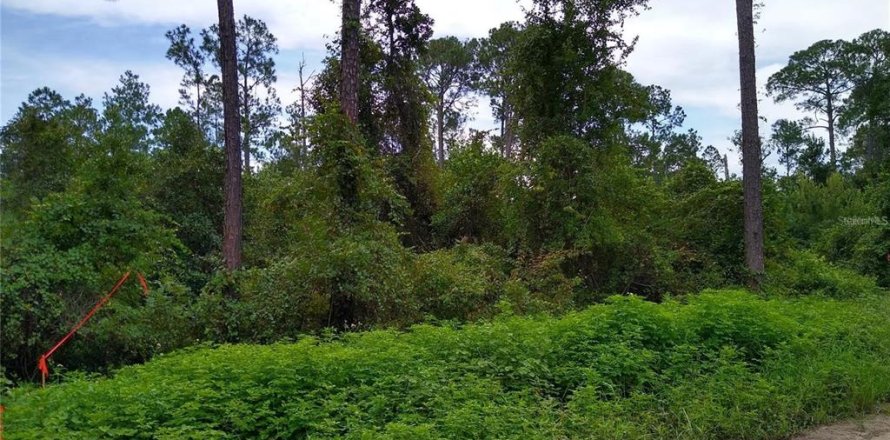 Terreno en DeLand, Florida № 2162200