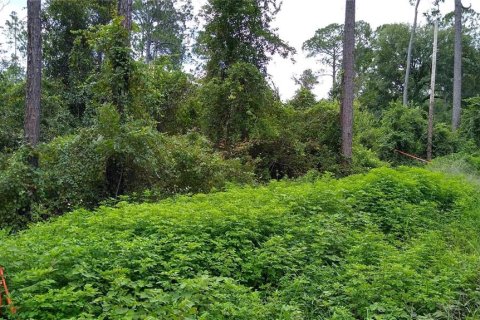 Terreno en venta en DeLand, Florida № 2162200 - foto 2