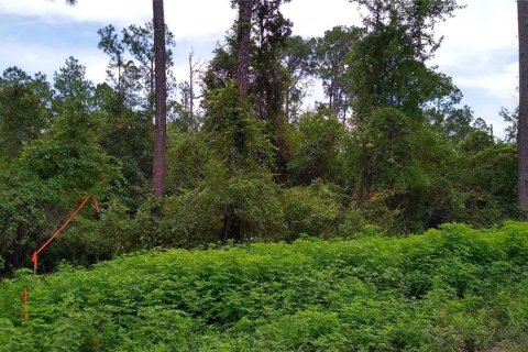 Terreno en venta en DeLand, Florida № 2162200 - foto 4