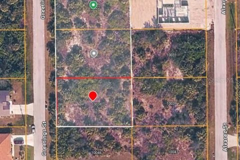 Land in Port Charlotte, Florida № 2158851 - photo 2