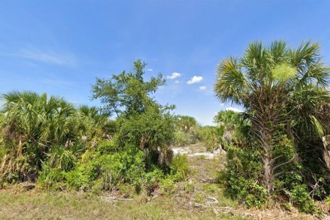 Land in Port Charlotte, Florida № 2158851