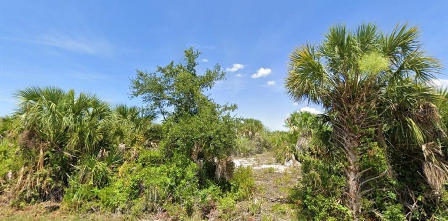 Land in Port Charlotte, Florida № 2158851