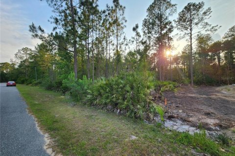 Terreno en venta en Eustis, Florida № 1675866 - foto 5