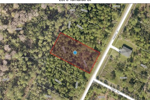 Terreno en venta en Eustis, Florida № 1675866 - foto 1