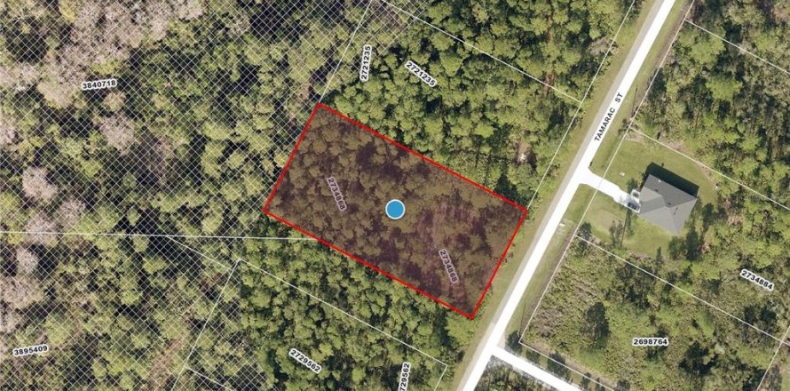 Terreno en Eustis, Florida № 1675866