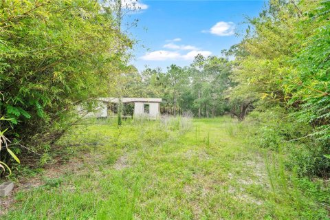 Land in Citra, Florida № 2117785 - photo 2
