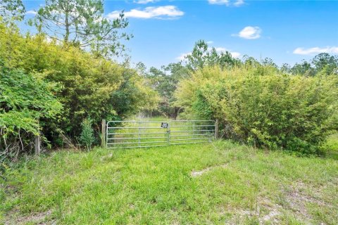 Land in Citra, Florida № 2117785