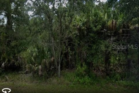 Land in Port Charlotte, Florida № 2212511