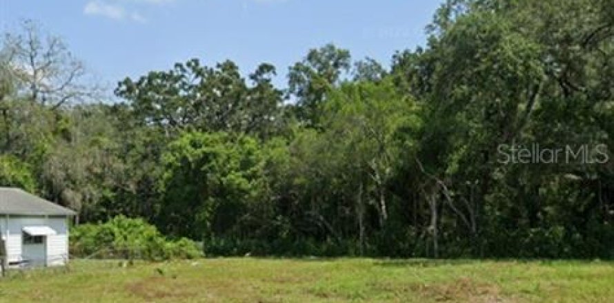 Land in Tampa, Florida № 1824098