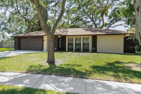 House in Dunedin, Florida 4 bedrooms, 192.87 sq.m. № 1909768 - photo 1