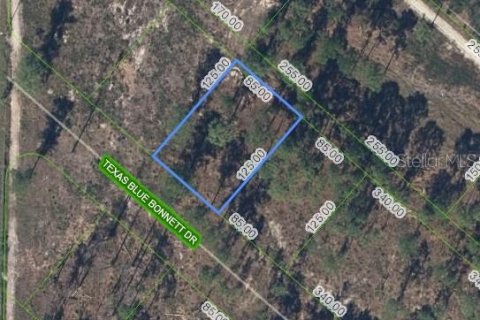 Land in Sebring, Florida № 2165770