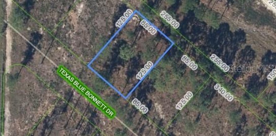 Land in Sebring, Florida № 2165770