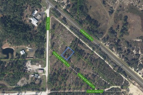 Land in Sebring, Florida № 2165770 - photo 2