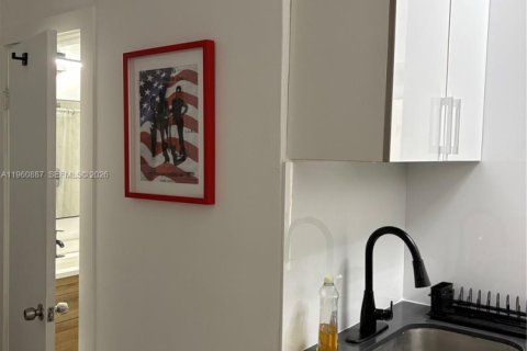 Copropriété à louer à Miami Beach, Floride: 49.24 m2 № 2025827 - photo 13