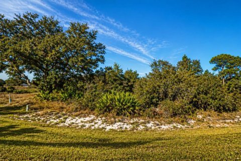 Terrain à Kissimmee, Floride № 2113353