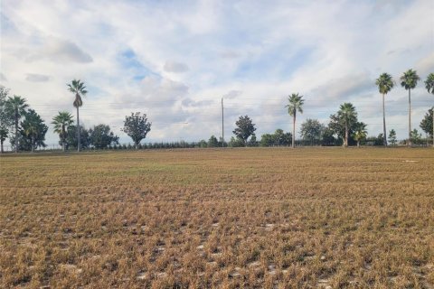 Land in Groveland, Florida № 2125470