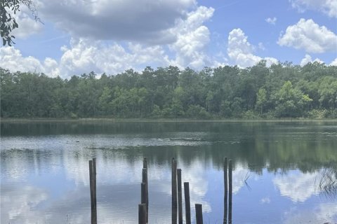 House in Ocklawaha, Florida 1 bedroom, 180.42 sq.m. № 2166120 - photo 6